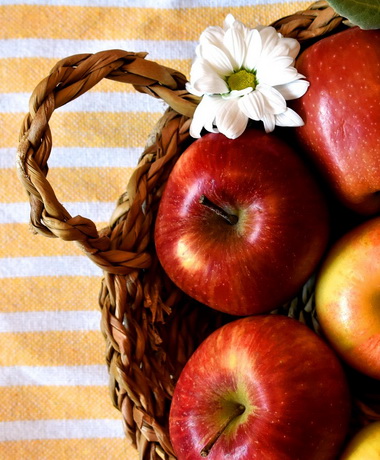 apples 380x460 apples 380x460