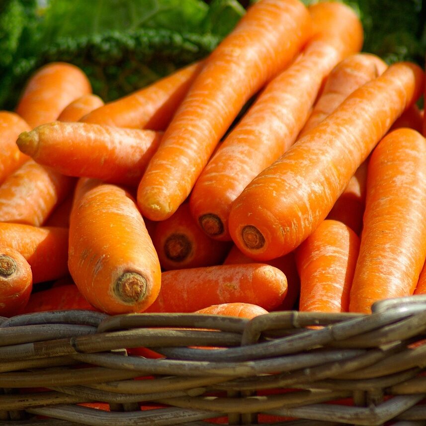 carrots 673184 1280