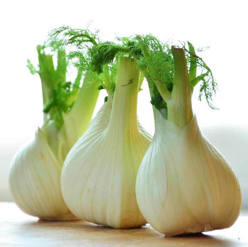 fennel 1311691 1280
