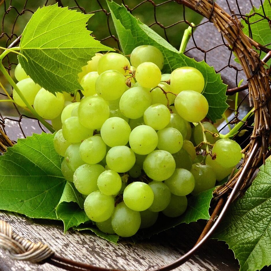 grapes
